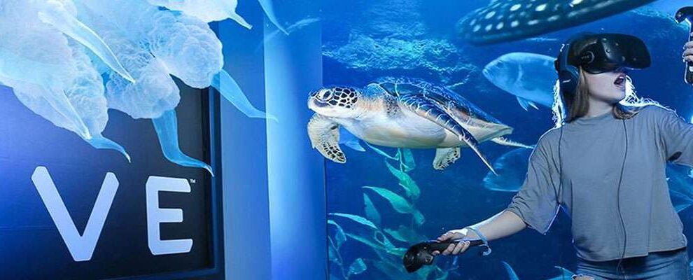 Burj Khalifa At the Top 124 + Dubai Mall Aquarium & Underwater Zoo (Non Prime)