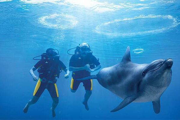 Dolphin Bay Atlantis