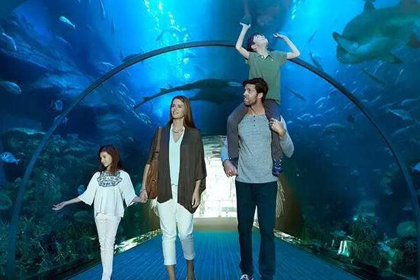 Dubai Mall Aquarium & Underwater Zoo (Ultimate Experience)