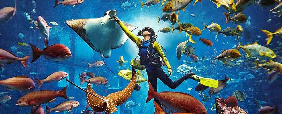 Atlantis Aquaventure Waterpark