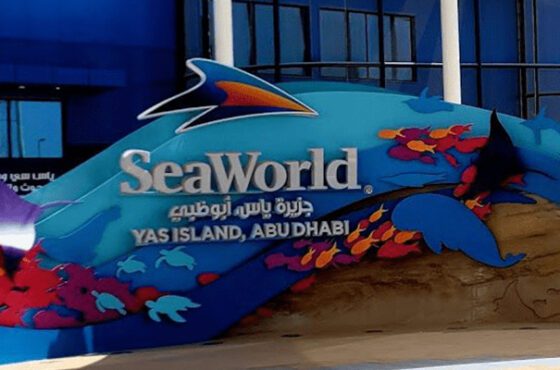 Seaworld From Dubai