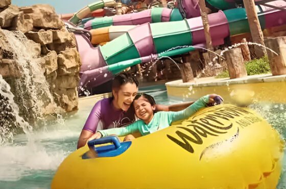 Yes Island Theme Parks – Yas Waterworld